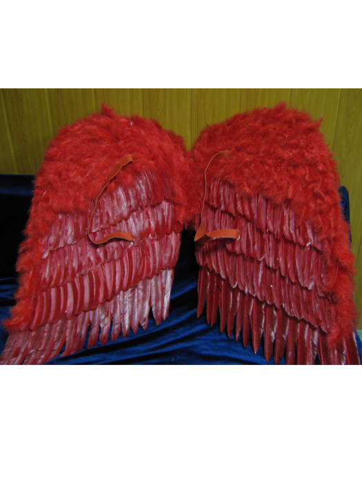 Королевские крылья перьевые красные 80х80см 02692